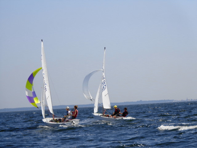 DSC02631